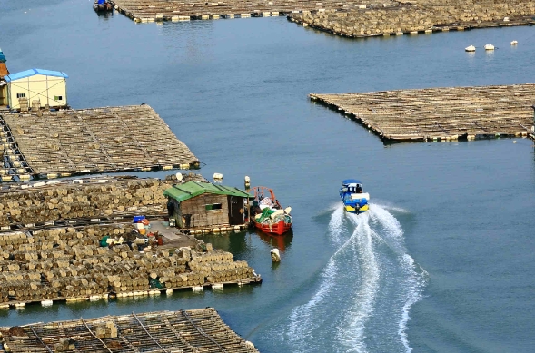 天津貨代行業(yè)在發(fā)展過(guò)程中，逐漸形成了獨(dú)特的服務(wù)特色和優(yōu)勢(shì)