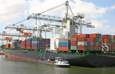 公認(rèn)進(jìn)口報(bào)關(guān)代理公司會(huì)采取哪些措施來(lái)確保報(bào)關(guān)服務(wù)的專(zhuān)業(yè)性？