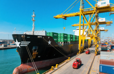 國際海運(yùn)物流公司：高效運(yùn)輸，縮短木材出口時空距離