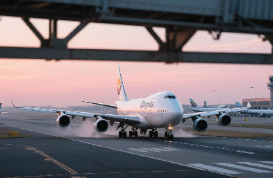 上海國(guó)際貨代：全球供應(yīng)鏈樞紐的數(shù)字化轉(zhuǎn)型與生態(tài)重構(gòu)