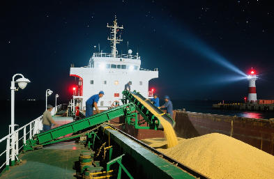 國際貨運代理：海運 / 空運 / 陸運全航線，訂艙到派送一站搞定
